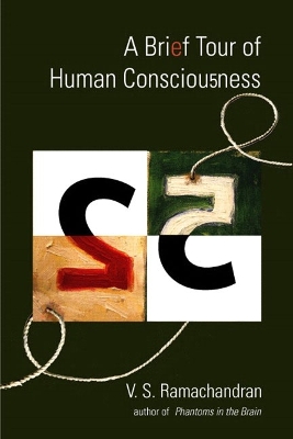 Book cover for A Brief Tour of Human Consciousness