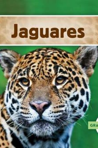 Cover of Jaguares
