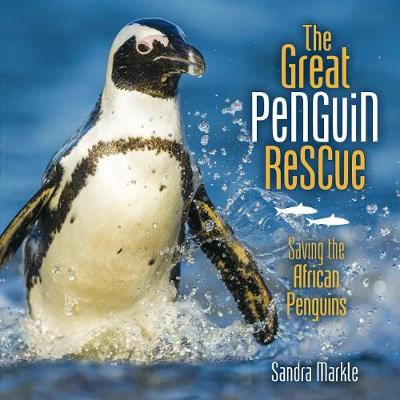 Book cover for The Great Penguin Rescue