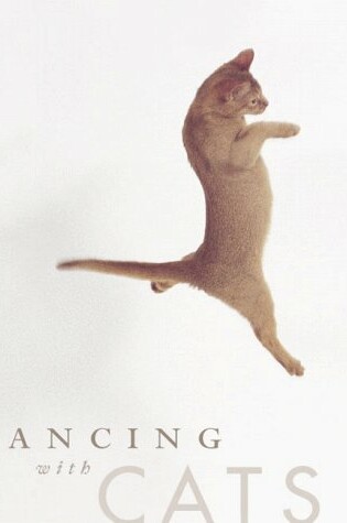 Cover of Dancing with Cats Deluxe Notecards