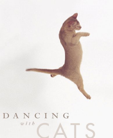 Book cover for Dancing with Cats Deluxe Notecards