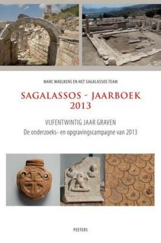 Cover of Sagalassos - Jaarboek 2013