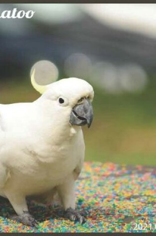 Cover of Cockatoo 2021 Calendar