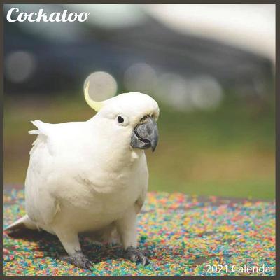 Book cover for Cockatoo 2021 Calendar