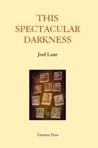 Cover of This Spectacular Darkness