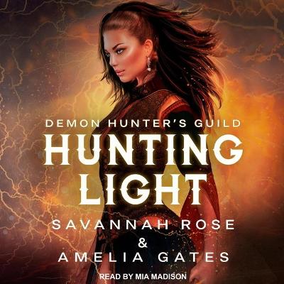 Book cover for Hunting Light