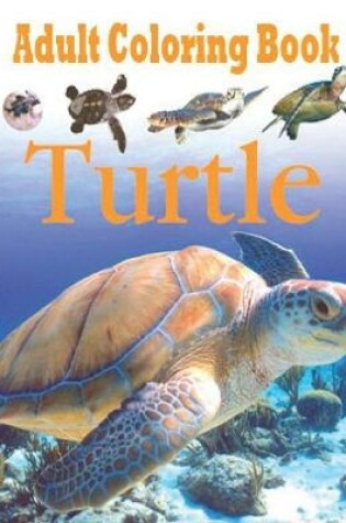 Cover of Adult Coloring Book Turtle