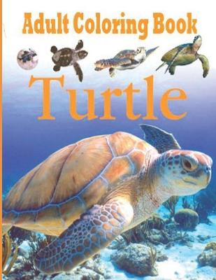 Book cover for Adult Coloring Book Turtle