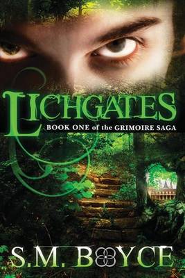 Book cover for Lichgates