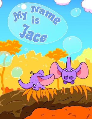 Book cover for My Name is Jace