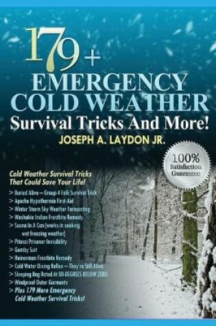 Cover of 179+ Emergency Cold Weather Survival Tricks And More!