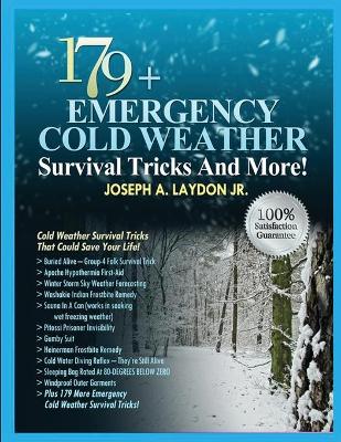 Book cover for 179+ Emergency Cold Weather Survival Tricks And More!