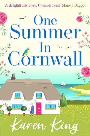 Cover of One Summer in Cornwall