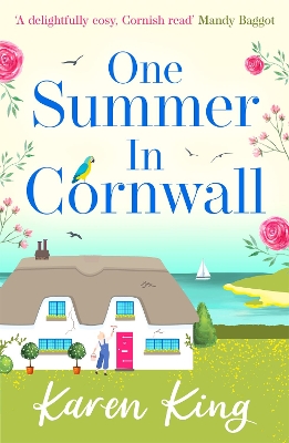 Book cover for One Summer in Cornwall