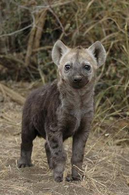 Book cover for The Hyena Cub Journal