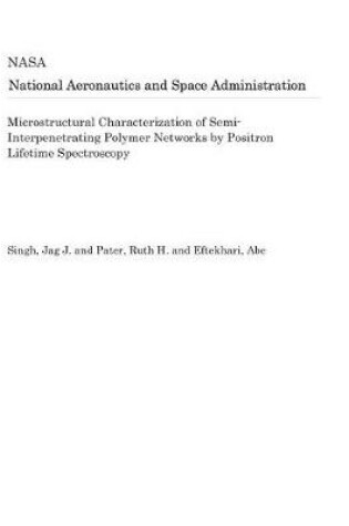 Cover of Microstructural Characterization of Semi-Interpenetrating Polymer Networks by Positron Lifetime Spectroscopy