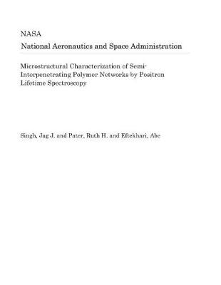 Book cover for Microstructural Characterization of Semi-Interpenetrating Polymer Networks by Positron Lifetime Spectroscopy