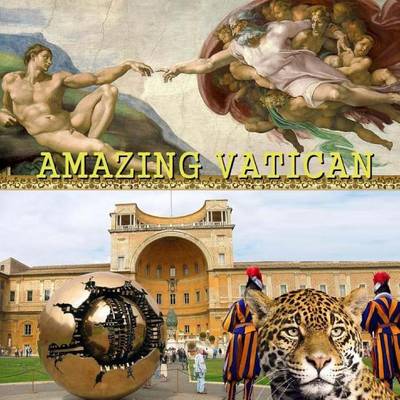 Book cover for Amazing Vatican