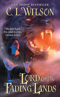 Cover of Lord of the Fading Lands