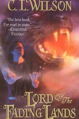 Cover of Lord of the Fading Lands