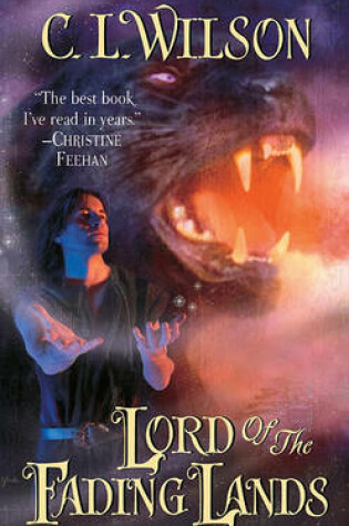 Cover of Lord of the Fading Lands