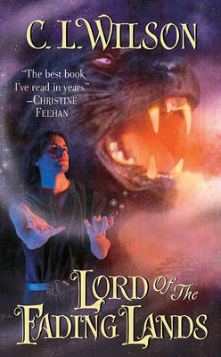 Book cover for Lord of the Fading Lands