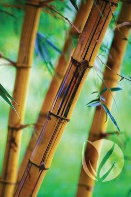 Cover of Bamboo Forest Notebook