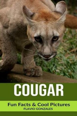 Cover of Cougar