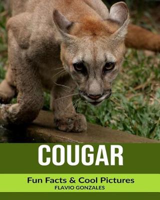 Book cover for Cougar