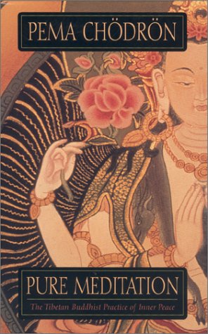 Book cover for Pure Meditation