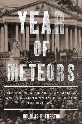 Book cover for Year of Meteors