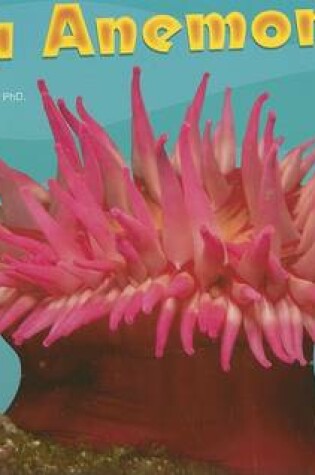 Cover of Sea Anemones