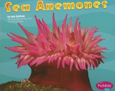 Cover of Sea Anemones