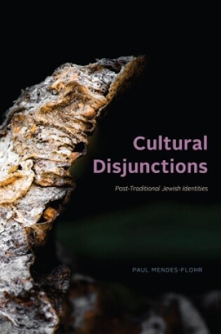 Cover of Cultural Disjunctions