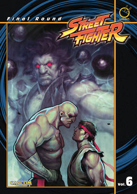 Book cover for Street Fighter Volume 6: Final Round