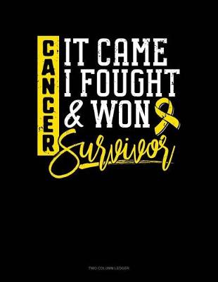 Book cover for Cancer, It Came I Fought and Won - Survivor