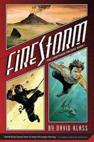 Cover of Firestorm