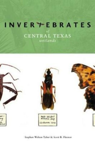 Cover of Invertebrates of Central Texas Wetlands