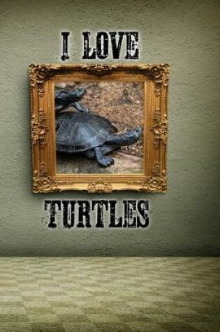 Cover of I Love Turtles