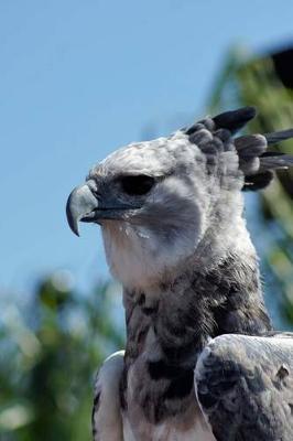 Book cover for Harpy Eagle Journal