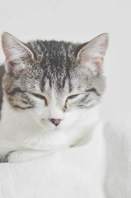 Book cover for Kitty Cat Napping on a White Couch Journal