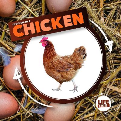 Book cover for Life Cycle of a Chicken