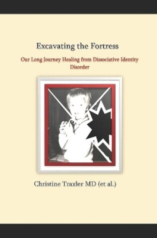 Cover of Excavating the Fortress