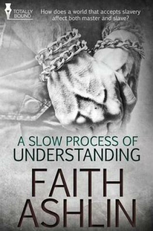 Cover of A Slow Process of Understanding