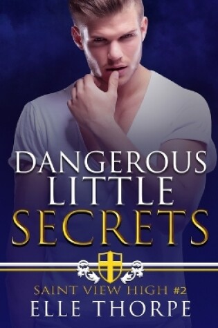 Cover of Dangerous Little Secrets