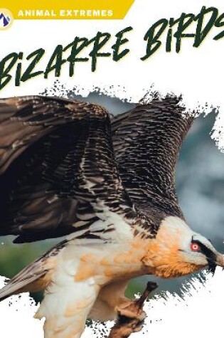 Cover of Bizarre Birds