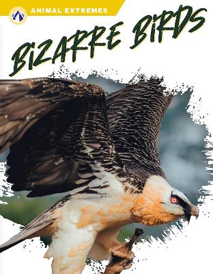 Book cover for Bizarre Birds