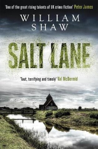 Cover of Salt Lane