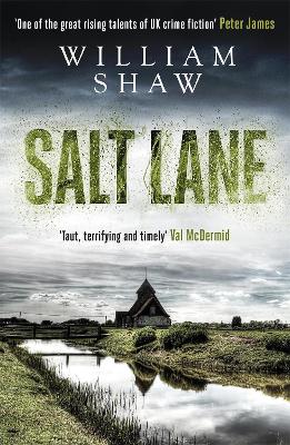 Book cover for Salt Lane