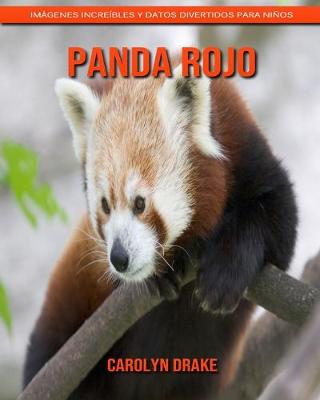 Book cover for Panda rojo